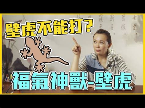 壁虎死掉風水|【壁虎 風水】壁虎進家惹財富 vs 凶兆？5大徵兆秒看。